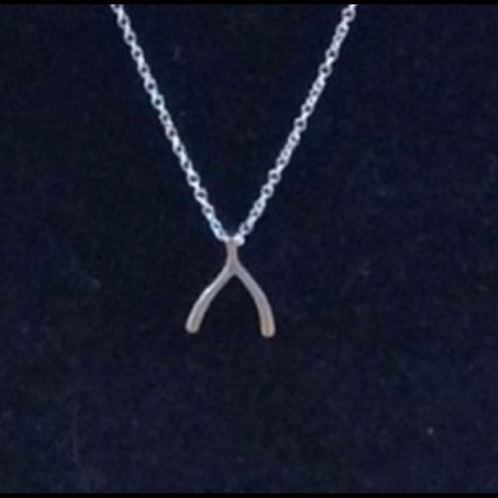 Sterling Wishbone Necklace